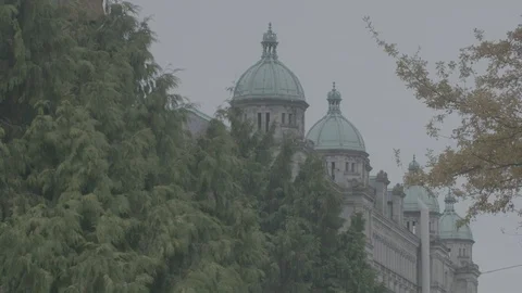 Right side domes of British Columbia Parliament Buildings with trees Stock Footage 127043555