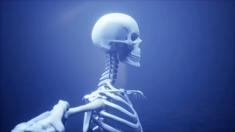 A Right side profile of skeleton standing in empty room Stock Footage 155230143