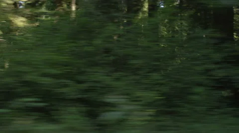 Right Side view of a Driving Plate: Car travels west on the Redwood Highway near Vidéo 59510994