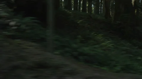Right Side view of a Driving Plate: Car travels east on the Redwood Highway near Stock Footage 59511463