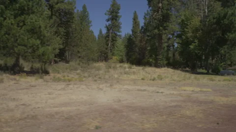Right Side view of a Driving Plate: Car turns left out of a ranch driveway onto Stock Footage 59511972