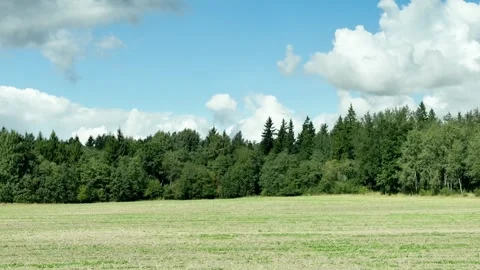 Right side view driving plate of green forest and rural field under fluffy cloud 動画素材 345844194