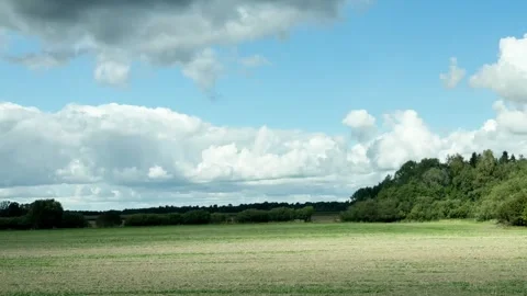 Right side view driving plate of green forest and rural field under fluffy cloud Stock Footage 345844325