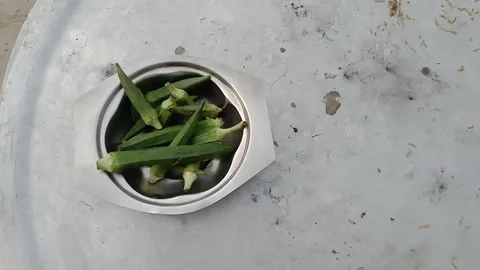 Right Side View of Fresh Okra in Front of Camera Video stock 347340013