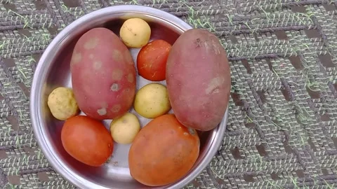 Right Side View Potatoes Tomatoes and Lemons on Steel Plate Stockbeeldmateriaal 347924945