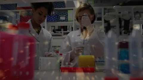 Right tech pressing pipette two lab techs preparing samples with animated Stock Footage 331567885