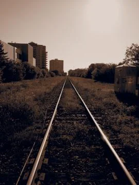 Right On Track 库存照片