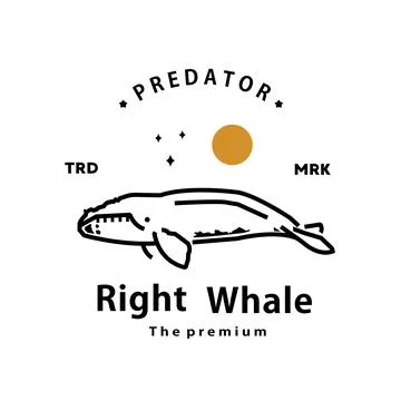 Right whale logo vector outline monoline art icon Stock Illustration