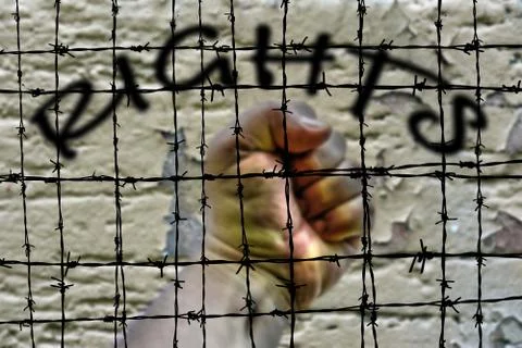 Rights and Barbwire Stock Illustration