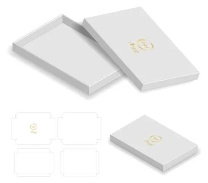 Rigid box packaging die cut template 3D mockup Illustrazione stock