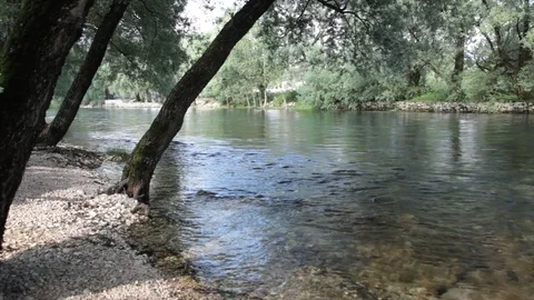 Rijeka passes through the woods 스톡 동영상 109293114