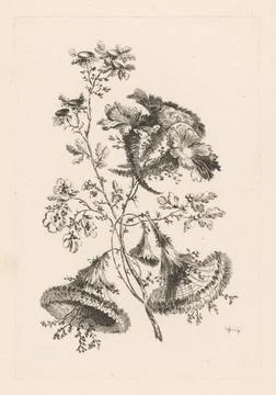 Rijksmuseum, 16th-20th ct, Triangular flowers; Fleors Baroque. Flowers in horn 写真素材
