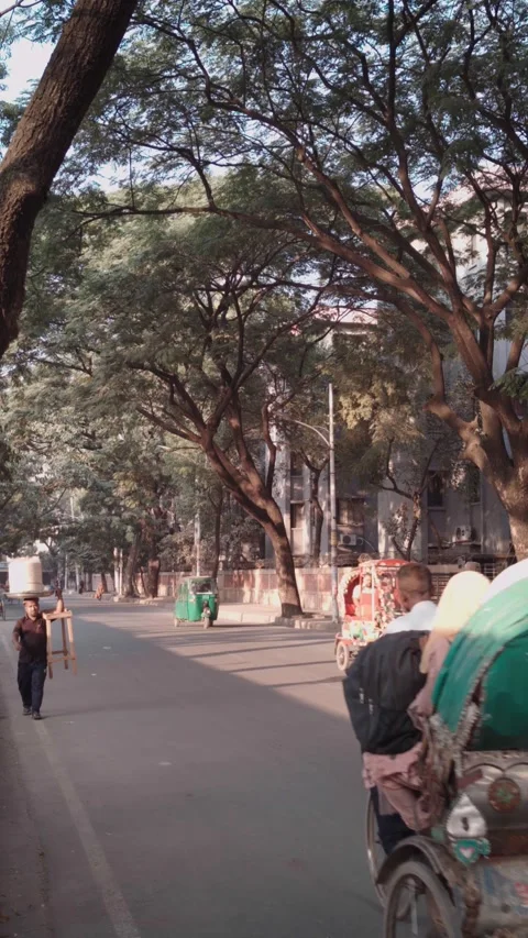 A rikshaw puller pulling the rikshaw in a busy road Stock Footage 223186914