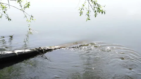 Rill closeup Stock Footage 57280368