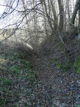 The rill dry   looking  downside Foto stock