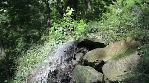 Rill Stock Footage 11411962