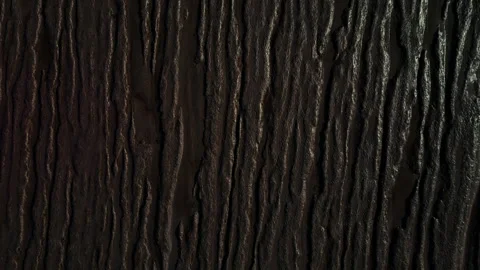 Rill Marks in Sand Stock Footage 308594823