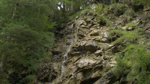 Rill streaming and falling down mossy rocks Tilt Down Stock Footage 56233399
