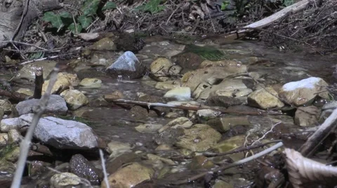 Rill Water wets the Forest Terrain Video stock 48858902
