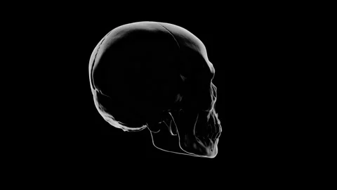 Rim Lit Human Skull Rotating Loop - Dramatic Edge Lighting 3D Animation Stock Footage 340227438