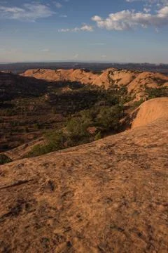 Rim view 库存照片