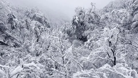 The rime covering the mountains and fields in winter Stock Footage 267185772