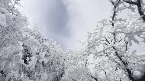 The rime covering the mountains and fields in winter Stock Footage 267219417