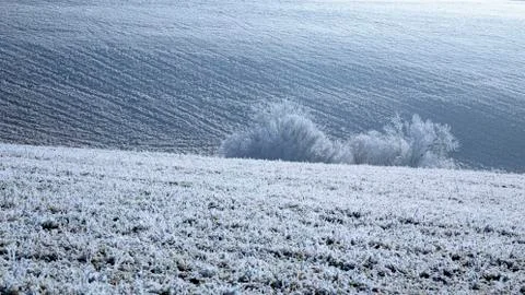 Rime on a field Stock Photos