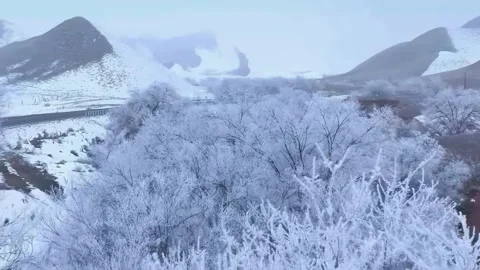 Rime Ice Covered Trees and Snowy Mountains Winter Landscape Sichuan China Stock Footage 346424102
