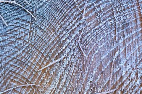 Rime on a log Stock Photos