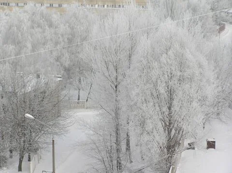 Rime on trees Stock Photos