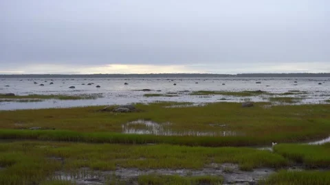 Rimouski Bay Stock Footage 143194258