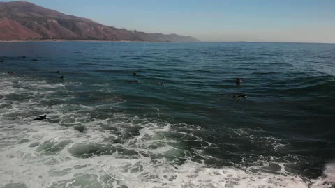 Rincon Beach Park Stock Footage 146660926