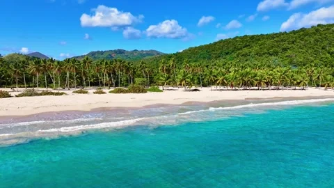 Rincon Tropical Beach Stock Footage 326856763