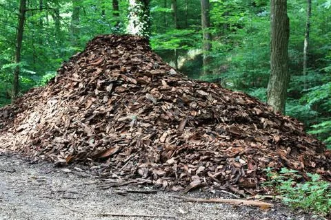 Rindenmulch Stock Photos