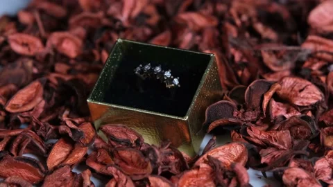 Ring and rose petals Stock Footage 170153834