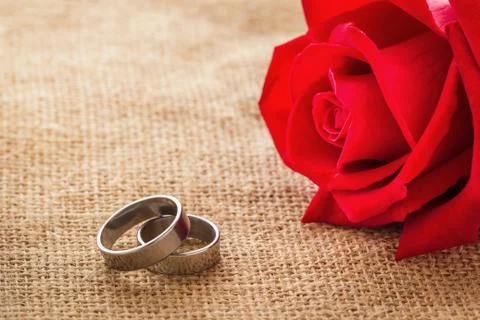 Ring and rose Foto stock