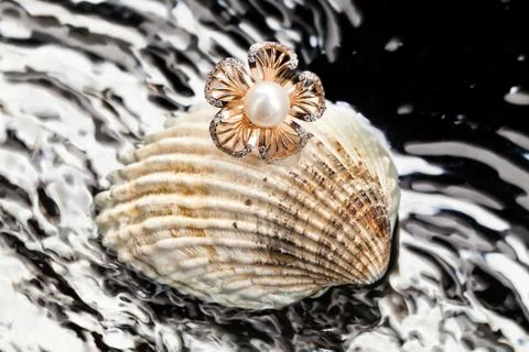Ring And Shell Stock Photos