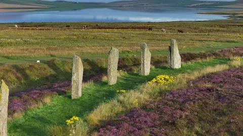 Ring of Brodgar Stone Circle, Amazing 4K Drone View, Orkney, Scotland Stock Footage 258347696