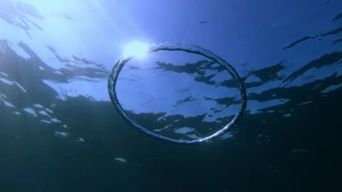 Watch: Jellyfish sent into a dizzying spin after colliding with bubble ring  | Oceans | Earth Touch News