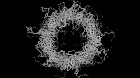 Ring Burst Perlin Noise Flow Field Generative Monochrome Black Background 4K 스톡 동영상 340386728