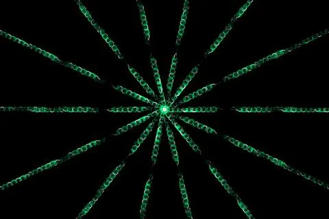 Ring digital pattern art CG background wallpaper Illustrazione stock
