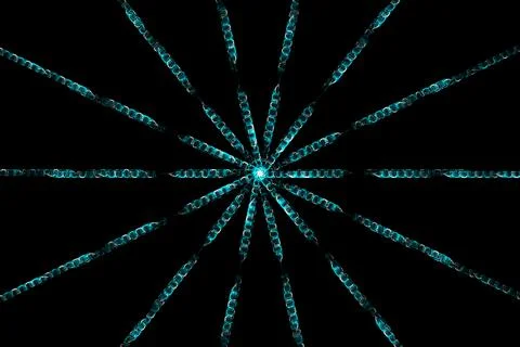 Ring digital pattern art CG background wallpaper Stock Illustration