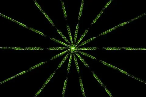 Ring digital pattern art CG background wallpaper Stock Illustration