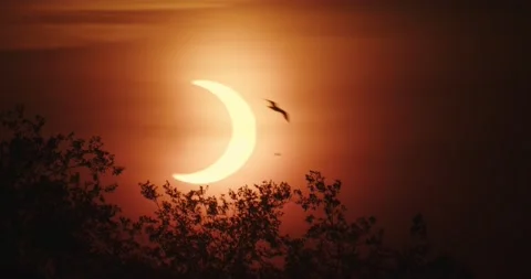 Ring of Fire solar eclipse as seen from Canada. Stock Footage 155453857