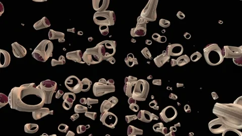 Ring 스톡 동영상 146732748