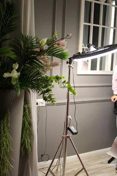 Ring lamp. Ring light for makeup in beauty salon Stock Photos