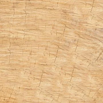 Ring the life of the tree close-up background or texture Foto stock