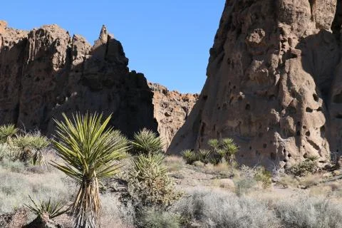 Ring Loop Trail, Mojave National Preserve, California Stock Photos