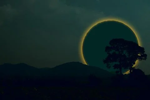 Ring lunar eclipse back silhouette tree and mountain on the night sky Ilustração Stock